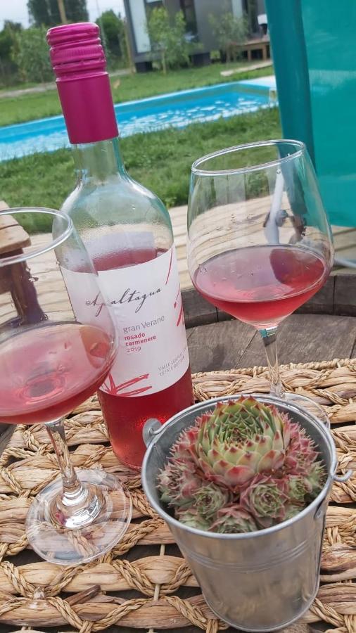Tiny Colchagua Cabanas Y Padel Διαμέρισμα Santa Cruz Εξωτερικό φωτογραφία