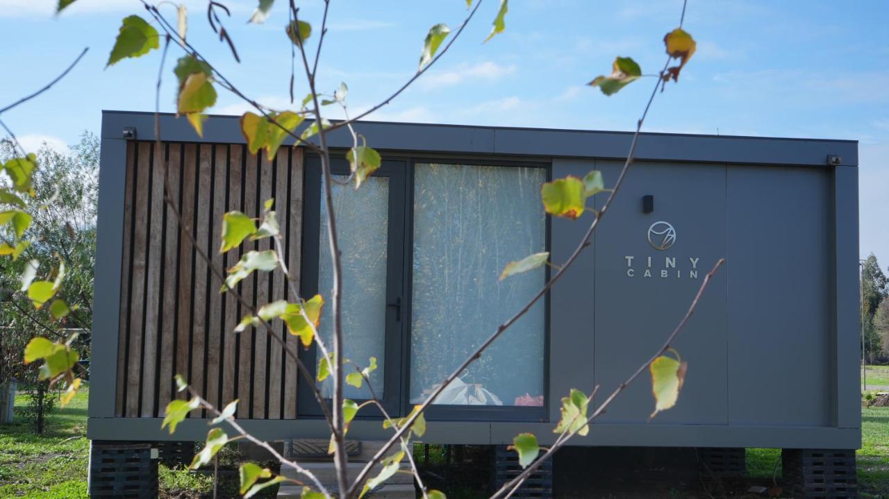 Tiny Colchagua Cabanas Y Padel Διαμέρισμα Santa Cruz Εξωτερικό φωτογραφία