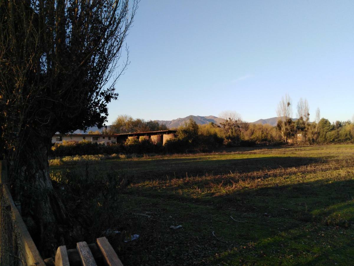 Tiny Colchagua Cabanas Y Padel Διαμέρισμα Santa Cruz Εξωτερικό φωτογραφία